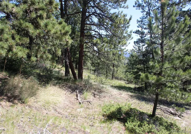 20th image of 11702 Overlook Dr, Golden, CO 80403 | MLS# 9400027