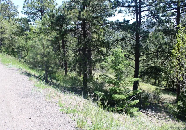 4th image of 11702 Overlook Dr, Golden, CO 80403 | MLS# 9400027