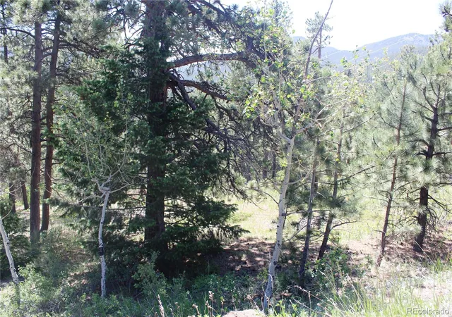 5th image of 11702 Overlook Dr, Golden, CO 80403 | MLS# 9400027