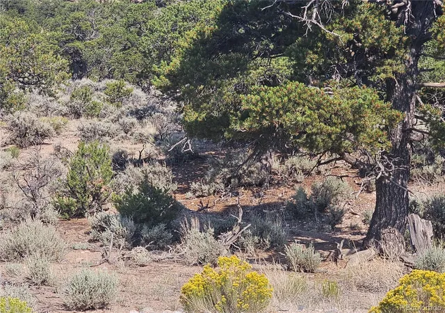 Photo 5 of Land for sale at 3277 Talmage Rd, Fort Garland, CO 81133 | MLS# 7745502 | Listing updated on 2026-07-28