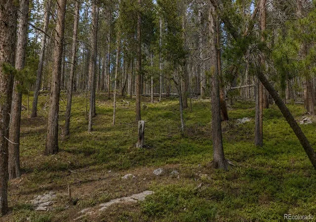 Photo 1 of Land for sale at 000 Steuart Rd, Idaho Springs, CO 80452 | MLS# 9262179 | Listing updated on 2026-08-07