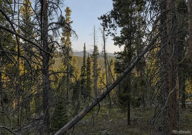 Photo 2 of Land for sale at 000 Steuart Rd, Idaho Springs, CO 80452 | MLS# 9262179 | Listing updated on 2026-08-07