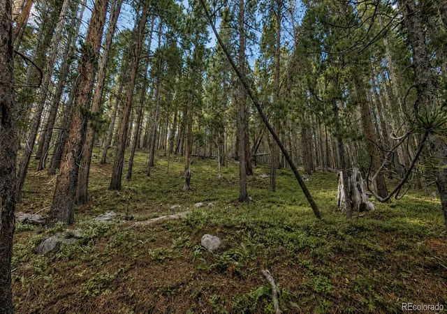 Photo 3 of Land for sale at 000 Steuart Rd, Idaho Springs, CO 80452 | MLS# 9262179 | Listing updated on 2026-08-07