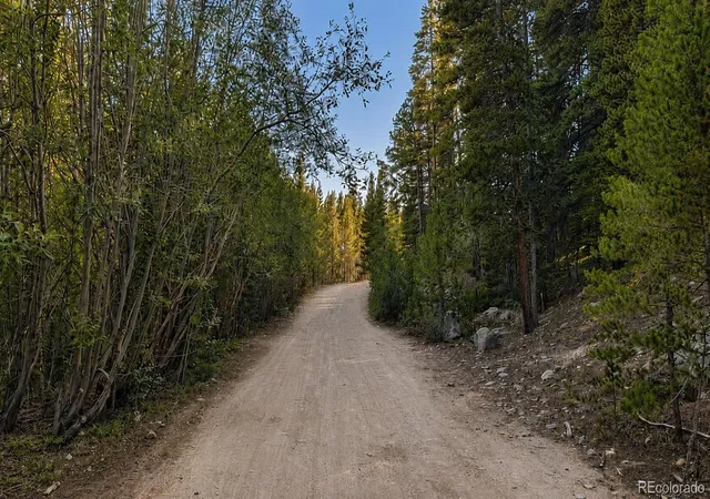 Photo 4 of Land for sale at 000 Steuart Rd, Idaho Springs, CO 80452 | MLS# 9262179 | Listing updated on 2026-08-07