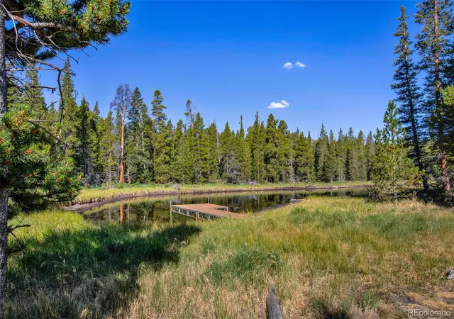 3rd image of 3385 Cr 1, Fairplay, CO 80440 | MLS# 8168637