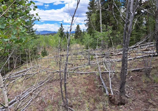 Photo 2 of Land for sale at 6242 Remington Rd, Como, CO 80432 | MLS# 6395442 | Listing updated on 2026-08-25