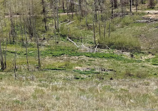 Photo 3 of Land for sale at 951 Van Fossan Ln, Fort Garland, CO 81133 | MLS# 3793956 | Listing updated on 2026-08-31