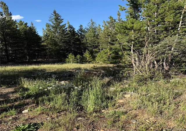 Photo 3 of Land for sale at 343 Aspen Rd, Idaho Springs, CO 80452 | MLS# 9700807 | Listing updated on 2026-10-06