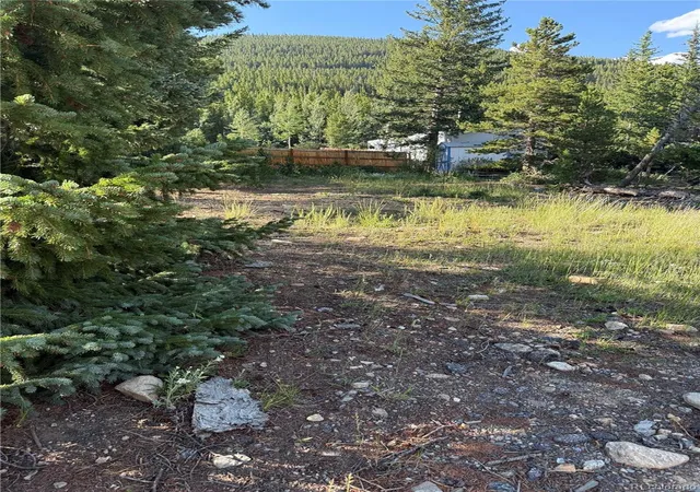 Photo 4 of Land for sale at 343 Aspen Rd, Idaho Springs, CO 80452 | MLS# 9700807 | Listing updated on 2026-10-06