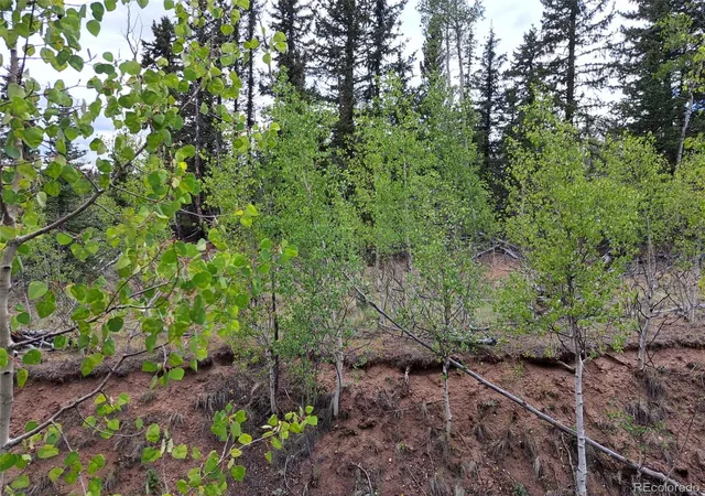Photo 2 of Land for sale at 6206 Remington Rd, Como, CO 80432 | MLS# 8032179 | Listing updated on 2026-08-25