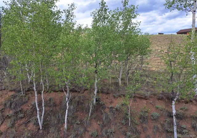 Photo 4 of Land for sale at 6206 Remington Rd, Como, CO 80432 | MLS# 8032179 | Listing updated on 2026-08-25