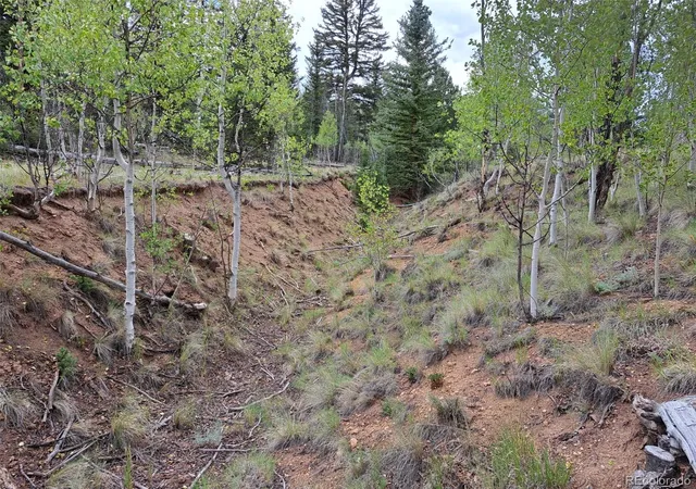 Photo 5 of Land for sale at 6206 Remington Rd, Como, CO 80432 | MLS# 8032179 | Listing updated on 2026-08-25