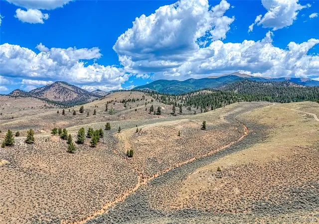 36th image of 18829 County Road 397, Granite, CO 81251 | MLS# 4994459