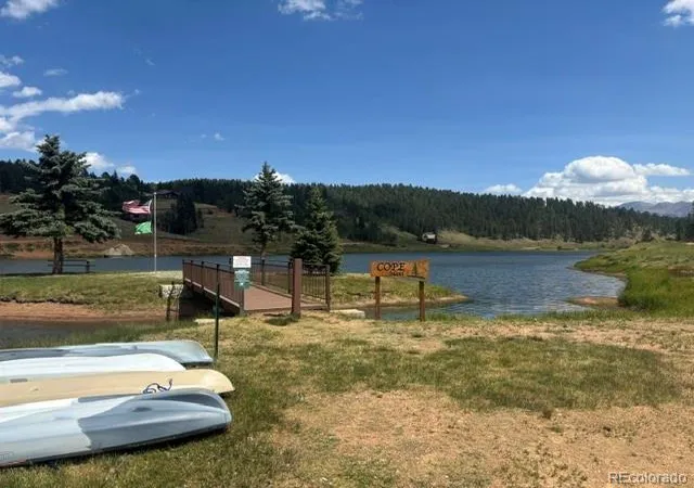 19th image of 65 Shadow Lake Dr, Divide, CO 80814 | MLS# 5870038