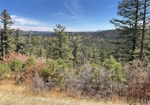 27th image of 160 Acres San Pablo Canyon, Weston, CO 81091 | MLS# 5723279