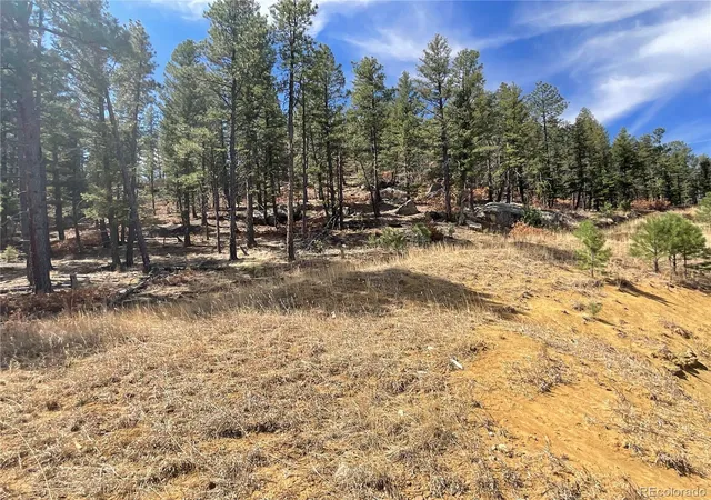 Photo 4 of Land for sale at 160 Acres San Pablo Cyn, Weston, CO 81091 | MLS# 5723279 | Listing updated on 2026-08-20