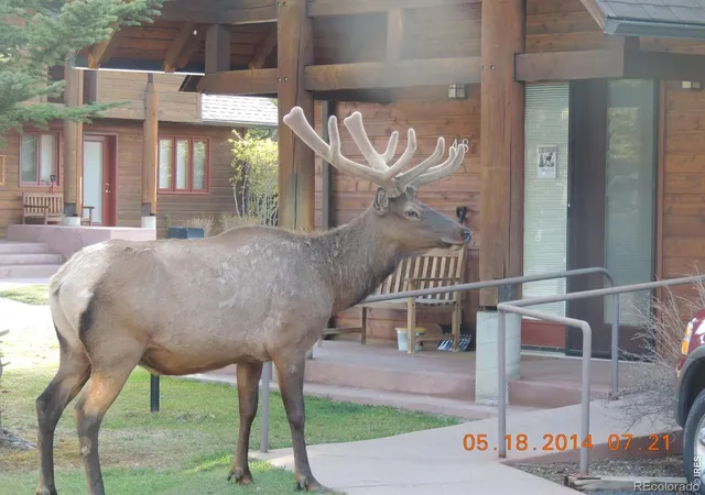 1st image of 1565 Hwy 66 #49, Estes Park, CO 80517 | MLS# IR1065411