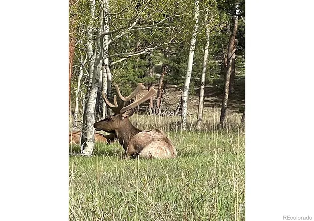 2nd image of 1565 Hwy 66, Estes Park, CO 80517