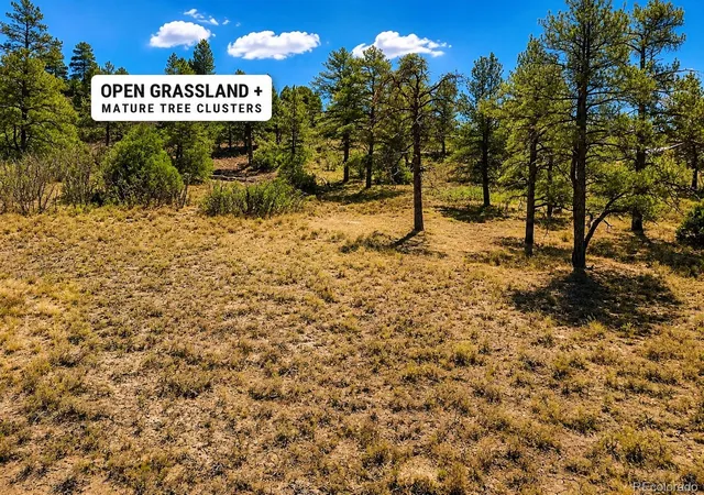 Photo 2 of Land for sale at 166 Ponderosa Way, Durango, CO 81301 | MLS# 8755908 | Listing updated on 2026-09-20