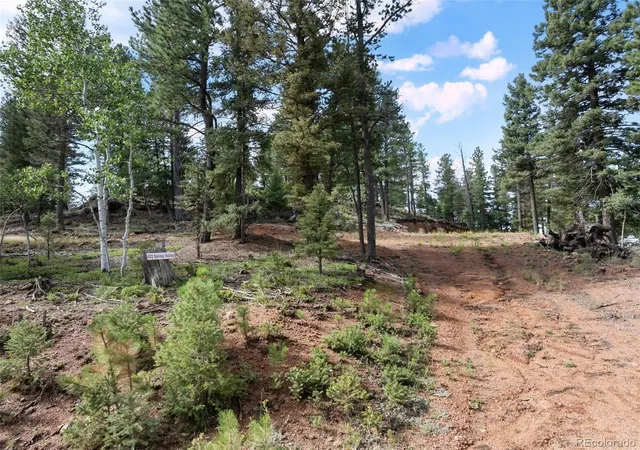 1st image of 422 Spring Valley Dr, Divide, CO 80814 | MLS# 5174931