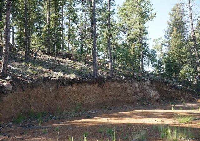 2nd image of 422 Spring Valley Dr, Divide, CO 80814 | MLS# 5174931