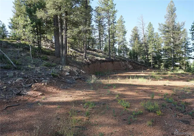 3rd image of 422 Spring Valley Dr, Divide, CO 80814 | MLS# 5174931