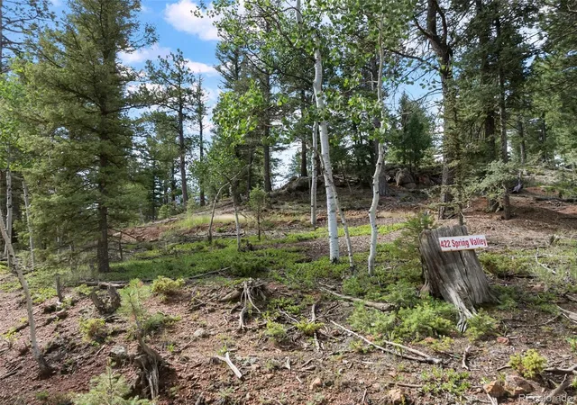4th image of 422 Spring Valley Dr, Divide, CO 80814 | MLS# 5174931