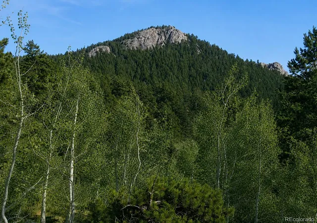 4th image of 11957 Elk Trail Rd, Conifer, CO 80433 | MLS# 3536763