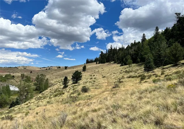 Photo 3 of Land for sale at Highway 160, Fort Garland, CO 81133 | MLS# 6403260 | Listing updated on 2026-08-10