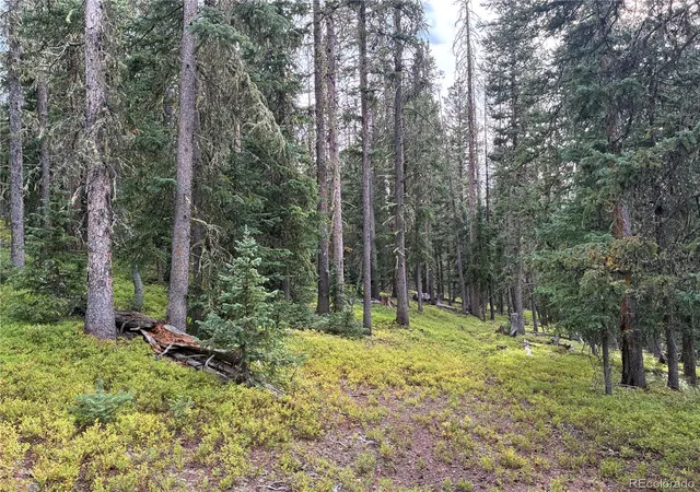 Photo 3 of Land for sale at Lot 6524 Forbes Rd, San Luis, CO 81152 | MLS# 6147546 | Listing updated on 2026-08-31