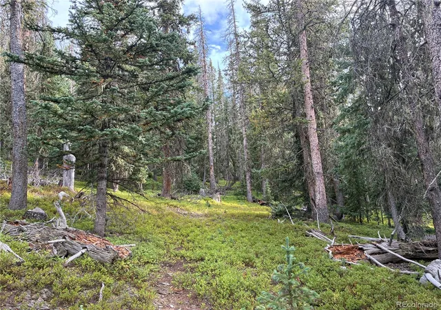 Photo 5 of Land for sale at Lot 6524 Forbes Rd, San Luis, CO 81152 | MLS# 6147546 | Listing updated on 2026-08-31