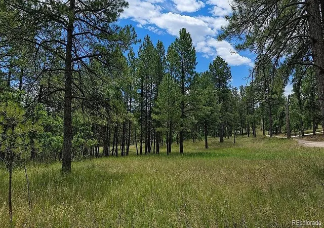 3rd image of 00 Westwood Rd, Colorado Springs, CO 80919 | MLS# 6677918