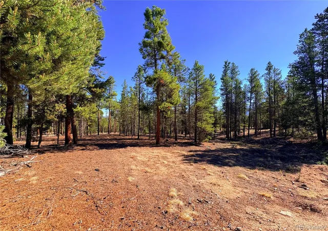 1st image of 399 Lodgepole Dr, Leadville, CO 80461 | MLS# 7925267