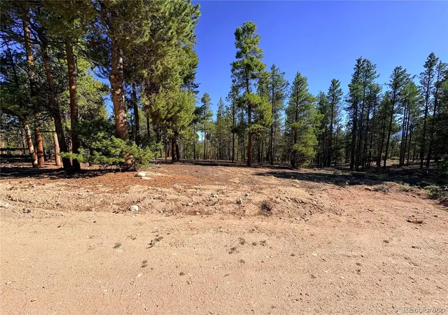 2nd image of 399 Lodgepole Dr, Leadville, CO 80461 | MLS# 7925267