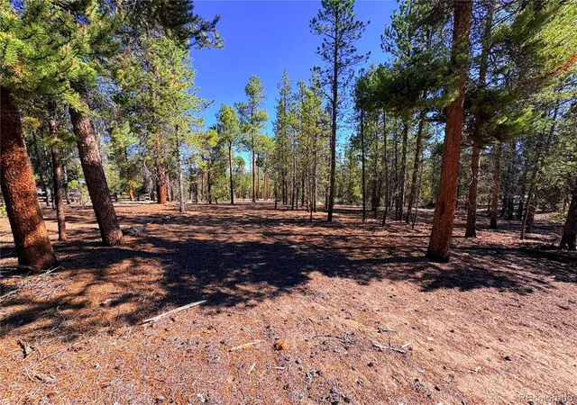 Photo 3 of Land for sale at 399 Lodgepole Dr, Leadville, CO 80461 | MLS# 7925267 | Listing updated on 2026-07-31