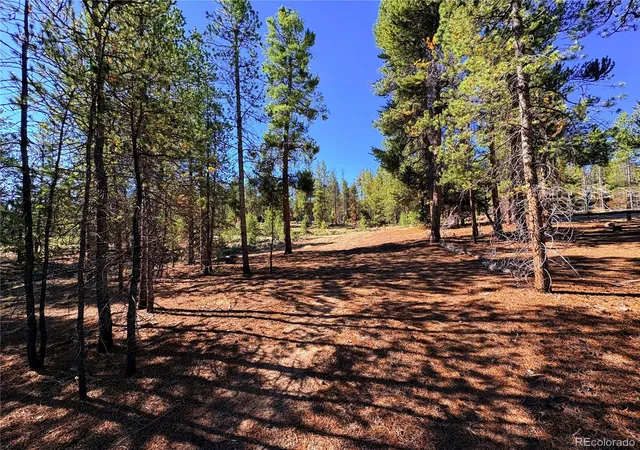 Photo 3 of Land for sale at 399 Lodgepole Dr, Leadville, CO 80461 | MLS# 7925267 | Listing updated on 2026-07-31