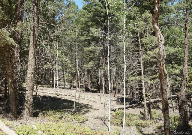 1st image of 616 Indian Creek Rd, Florissant, CO 80816 | MLS# 3274567