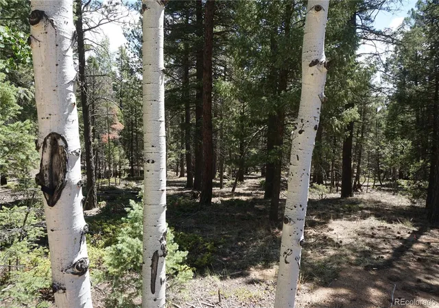2nd image of 616 Indian Creek Rd, Florissant, CO 80816 | MLS# 3274567