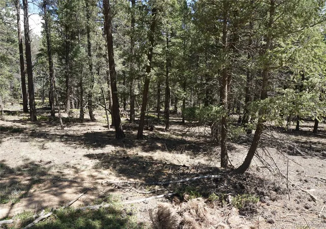3rd image of 616 Indian Creek Rd, Florissant, CO 80816 | MLS# 3274567