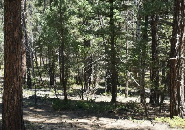 4th image of 616 Indian Creek Rd, Florissant, CO 80816 | MLS# 3274567