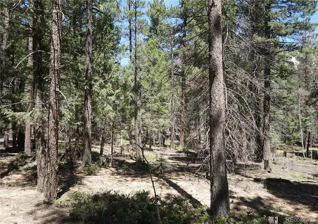 5th image of 616 Indian Creek Rd, Florissant, CO 80816 | MLS# 3274567