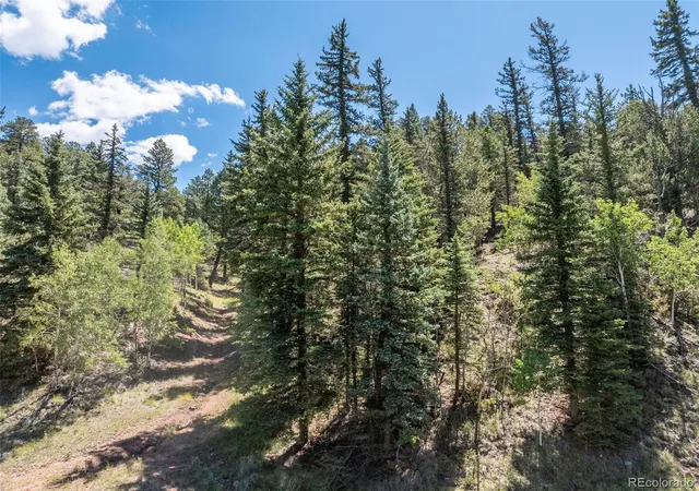 2nd image of 1676 Pathfinder Rd, Florissant, CO 80816 | MLS# 6891763