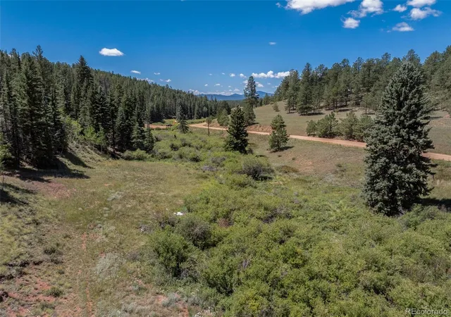 4th image of 1676 Pathfinder Rd, Florissant, CO 80816 | MLS# 6891763