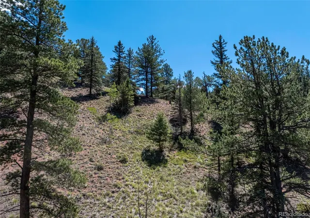 5th image of 1676 Pathfinder Rd, Florissant, CO 80816 | MLS# 6891763