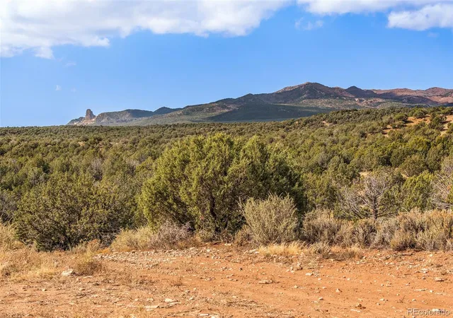 Photo 3 of Land for sale at 2997 Rd 205, Cortez, CO 81321 | MLS# 8662227 | Listing updated on 2026-08-07