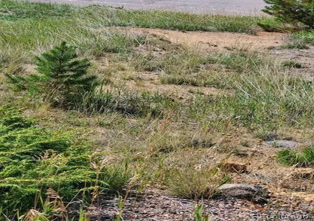 Photo 2 of Land for sale at 000 Quartz Valley, Central City, CO 80427 | MLS# 6738999 | Listing updated on 2026-08-15