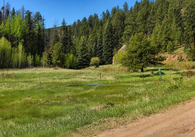 Photo 2 of Land for sale at Lot 1 Co Rd 358, Westcliffe, CO 81252 | MLS# 8669097 | Listing updated on 2026-09-02