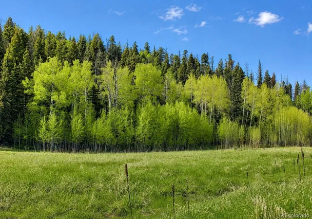 Photo 3 of Land for sale at Lot 1 Co Rd 358, Westcliffe, CO 81252 | MLS# 8669097 | Listing updated on 2026-09-02