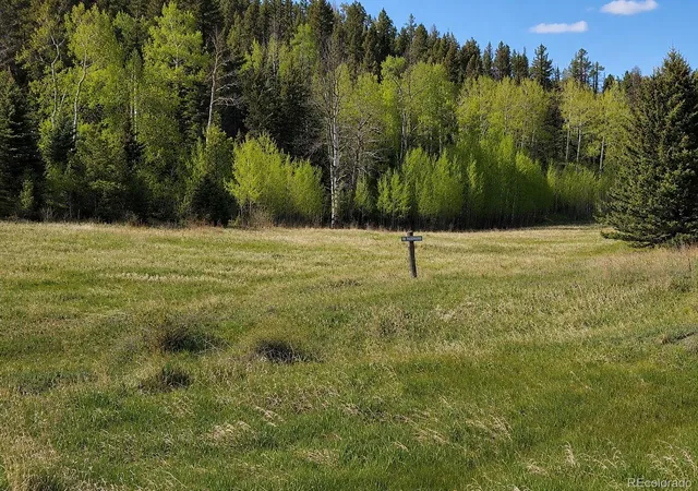 Photo 3 of Land for sale at Lot 1 Co Rd 358, Westcliffe, CO 81252 | MLS# 8669097 | Listing updated on 2026-09-02