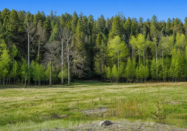 Photo 4 of Land for sale at Lot 1 Co Rd 358, Westcliffe, CO 81252 | MLS# 8669097 | Listing updated on 2026-09-02
